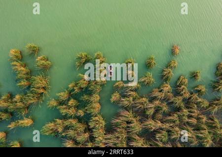 Fischerfischerei im Schilf am Plattensee. Stillleben. Stockfoto