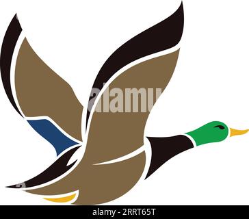 Drake Mallard Duck Flying Illustration Stock Vektor
