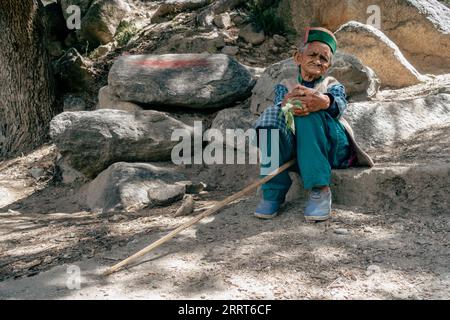 30. August 2023, Himachal Pradesh, Indien. Ältere Himachali-Frau in traditioneller Kleidung im ländlichen Himachal Pradesh. Stockfoto