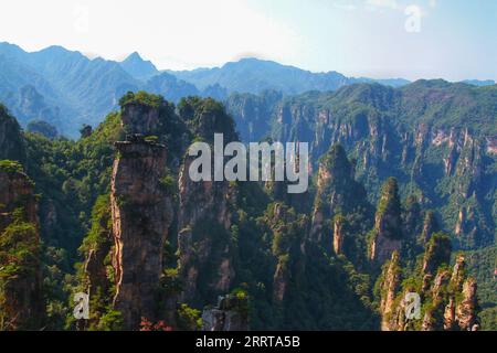 Halten Sie die atemberaubende Essenz von Chinas berühmten scharfen, hoch aufragenden Bergen fest, die an die beeindruckenden Landschaften aus dem Avatar-Film erinnern. Stockfoto