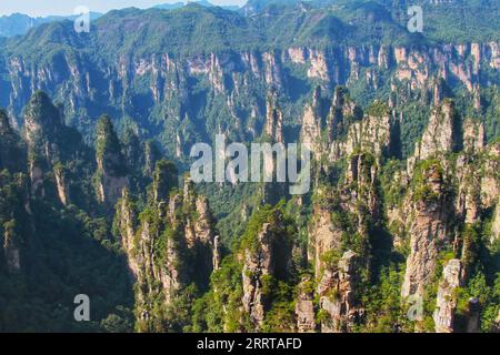 Halten Sie die atemberaubende Essenz von Chinas berühmten scharfen, hoch aufragenden Bergen fest, die an die beeindruckenden Landschaften aus dem Avatar-Film erinnern. Stockfoto