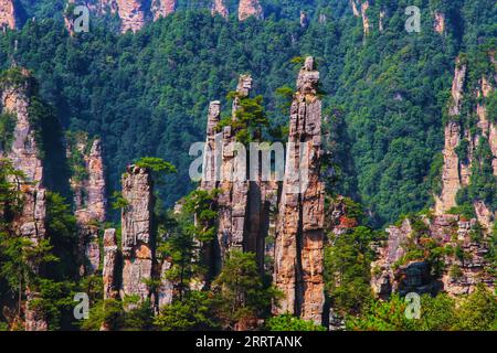 Halten Sie die atemberaubende Essenz von Chinas berühmten scharfen, hoch aufragenden Bergen fest, die an die beeindruckenden Landschaften aus dem Avatar-Film erinnern. Stockfoto