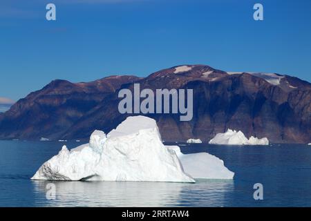 Arktis, Eisberg in Uummannaq Fjord, Grönland, Dänemark Stockfoto