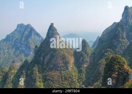 Halten Sie die atemberaubende Essenz von Chinas berühmten scharfen, hoch aufragenden Bergen fest, die an die beeindruckenden Landschaften aus dem Avatar-Film erinnern. Stockfoto