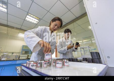 230717 -- ZHONGXIAN, 17. Juli 2023 -- Forscher des Institute of Mountain Hazards and Environment unter der Chinesischen Akademie der Wissenschaften CAS messen die Bodenporosität an einer Forschungsstation im Zhongxian County, südwestchinesisches Chongqing, 5. Juli 2023. Die Region des Three Gorges Reservoir, die Heimat des größten Wasserkraftprojekts der Welt, erstreckt sich über etwa 10.000 Quadratkilometer entlang des Yangtze River, Chinas längster Wasserstraße. Die saisonalen Lücken in den Wasserständen des Stausees haben zu einer Wasserstandsschwankungszone geführt, die 349 Quadratkilometer entlang des Yangtze-Flusses umfasst. Die Zone leidet unter Umwelteinflüssen Stockfoto