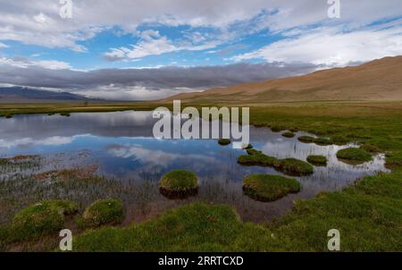 230717 -- ALTUN MOUNTAINS, 17. Juli 2023 -- dieses Foto vom 1. Juli 2023 zeigt ein Feuchtgebiet im Nationalpark Altun Mountains in der autonomen Region Xinjiang Uygur im Nordwesten Chinas. Mit einer durchschnittlichen Höhe von 4.580 Metern erstreckt sich das Altun Mountains National Nature Reserve über eine Gesamtfläche von 45.000 Quadratkilometern und ist ein Vertreter des Ökosystems der Plateauwüste in China. SKYEYECHINA-XINJIANG-ALTUN BERGE-NATURSCHUTZGEBIET CN CAIXYANG PUBLICATIONXNOTXINXCHN Stockfoto