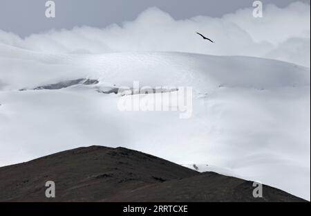 230717 -- ALTUN MOUNTAINS, 17. Juli 2023 -- Ein Geier fliegt über Schneemassen im Altun Mountains National Nature Reserve im Nordwesten Chinas Xinjiang Uygur Autonomous Region, 8. Juli 2023. Mit einer durchschnittlichen Höhe von 4.580 Metern erstreckt sich das Altun Mountains National Nature Reserve über eine Gesamtfläche von 45.000 Quadratkilometern und ist ein Vertreter des Ökosystems der Plateauwüste in China. Wang Peng SKYEYECHINA-XINJIANG-ALTUN BERGE-NATURSCHUTZGEBIET CN HuxHuhu PUBLICATIONxNOTxINxCHN Stockfoto