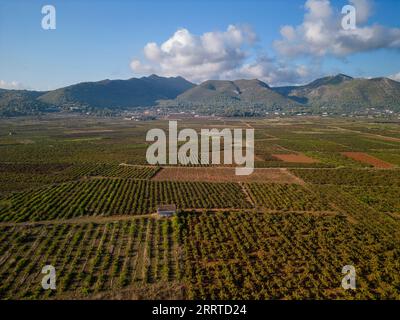 Vall de Pop, die Weinberge in Lliber und Xalo, Costa Blanca, Spanien - Stockfoto Stockfoto