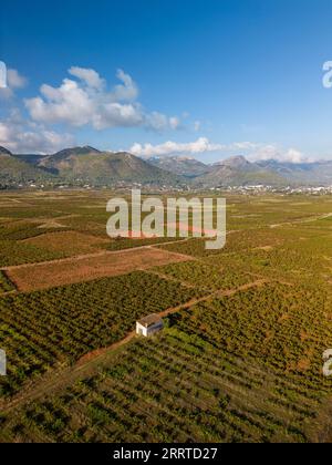 Vall de Pop, die Weinberge in Lliber und Xalo, Costa Blanca, Spanien - Stockfoto Stockfoto