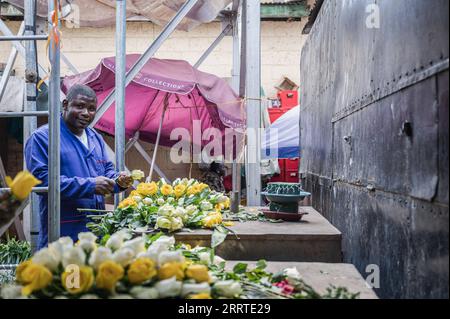 230720 -- NAIROBI, 20. Juli 2023 -- Ein Verkäufer schneidet Blumen, die auf einem Markt in Nairobi, Kenia, am 10. Juli 2023 verkauft werden sollen. China ist seit 14 Jahren der größte Handelspartner Afrikas. China und Afrika fördern dabei gemeinsam die Entwicklung im Rahmen der Initiative „Gürtel und Straße“ und eröffnen neue Wege der Zusammenarbeit. In den letzten Jahren hat der Export kenianischer Blumen nach China einen anhaltenden Aufwärtstrend erlebt, der durch Faktoren wie die Einrichtung von Direktflügen zwischen China und Afrika und die Optimierung der Zollverfahren vorangetrieben wurde. CHINA-AFRIKA- Stockfoto