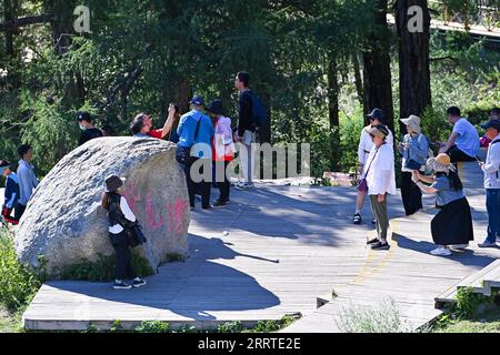 230720 -- BURQIN, 20. Juli 2023 -- Menschen machen Fotos im Kanas Scenic Area in der Präfektur Altay, Nordwestchina, Xinjiang Uygur Autonomous Region, 19. Juli 2023. Die landschaftlich reizvolle Gegend von Kanas ist im Sommer in die Hochsaison des Tourismus eingetreten. Bis zum 18. Juli hat es in diesem Jahr mehr als 1,55 Millionen Touristen empfangen, so die örtliche Behörde. CHINA-XINJIANG-KANAS-TOURISMCN DingxLei PUBLICATIONxNOTxINxCHN Stockfoto