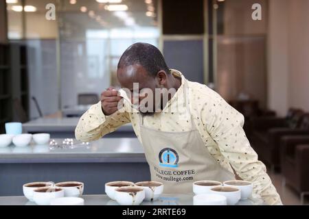 230720 -- ADDIS ABEBA, 20. Juli 2023 -- Jemal Abrar, stellvertretender Manager für Qualitätskontrolle bei Mullege Public Limited Company, einem Familienunternehmen in Äthiopien, das sich mit Kaffeeverarbeitung und -Export befasst, schmeckt den Kaffee in Addis Abeba, Äthiopien, 3. Juli 2023. China ist seit 14 Jahren der größte Handelspartner Afrikas. China und Afrika fördern dabei gemeinsam die Entwicklung im Rahmen der Initiative „Gürtel und Straße“ und eröffnen neue Wege der Zusammenarbeit. Afrikanischer Kaffee, bekannt für seine hohe Qualität, hat seinen Weg in das Leben der chinesischen Verbraucher gefunden. Im Jahr 2022 Stockfoto