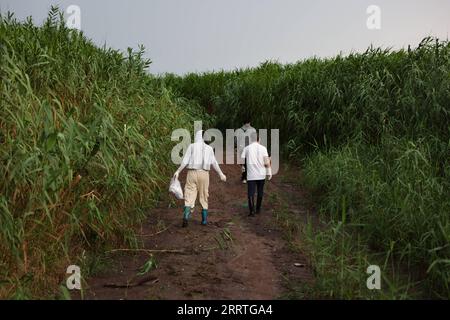 230724 -- YUEYANG, 24. Juli 2023 -- Mitglieder der Dongting Lake Station for Wetland Ecosystem Research unter dem CAS bereiten sich auf die Probennahme von Pflanzenproben im östlichen Dongting Lake Nature Reserve, Provinz Hunan in Zentralchina, 9. Juli 2023 vor. Xie Yonghong ist Leiter der Dongting Lake Station for Wetland Ecosystem Research unter der Chinesischen Akademie der Wissenschaften CAS. Forscher führen Studien über das Ökosystem des Dongting Lake-Feuchtgebietes in dieser Station durch, die 2009 gegründet wurde. Xie Yonghong spielte seit seiner Vorbereitungsphase im Jahr 2 eine wichtige Rolle bei der Errichtung dieser Station Stockfoto