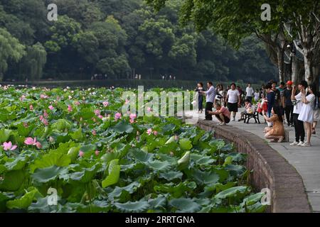 230725 -- HANGZHOU, 25. Juli 2023 -- Touristen genießen Lotusblumen in der malerischen Gegend des Westsees in Hangzhou, der Hauptstadt der ostchinesischen Provinz Zhejiang, 25. Juli 2023. Im Sommer sind die blühenden Lotusblüten ein absolutes muss für Besucher des Westsees von Hangzhou. ZhejiangPictorialCHINA-ZHEJIANG-HANGZHOU-WEST LAKE-TOURISM CN HuangxZongzhi PUBLICATIONxNOTxINxCHN Stockfoto