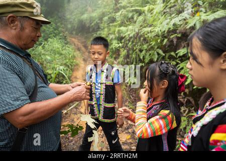 230726 -- JINPING, 26. Juli 2023 -- Zhang Puzhong 1. L erntet einige Waldbeeren für seine Enkelkinder im Wald in der Nähe von Xiaxinzhai Village, Zhemi Township, Jinping County, Honghe Hani und Yi Autonome Präfektur, Südwestchinesische Provinz Yunnan, 23. Juli 2023. Nach Tagen des Denkens beschloss Zhang Puzhong, seinen Enkelkindern etwas lehrreiches zu tun: Sie zurück in den Wald zu bringen, in dem er vor mehr als 60 Jahren als Kind lebte. Das ist sehr wichtig. Ich weiß, wie glücklich ich heute bin, weil ich nie vergessen habe, wie bitter mein Leben in der Vergangenheit war, sagte Zhang. Zhang ist ein 70-jähriger Kucong-Bewohner Stockfoto