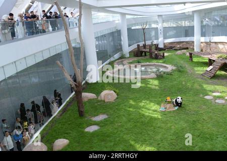 230727 -- DOHA, 27. Juli 2023 -- Menschen besuchen den riesigen Panda Si Hai im Qatar Panda House in Al Khor City, Katar, am 26. Juli 2023. Am Mittwoch fand im Al Khor Park von Katar, wo sich der erste Pandapark im Nahen Osten befindet, eine herzerwärmende Zeremonie statt, um den vierten Geburtstag von Si Hai zu feiern, einem weiblichen Riesenpandagan. ZUM Spielfilm: Riesen PANDA Si Hai feiert 4. Geburtstag in KATAR KATAR-DOHA-RIESE PANDA-SI HAI-GEBURTSTAG WangxQiang PUBLICATIONxNOTxINxCHN Stockfoto