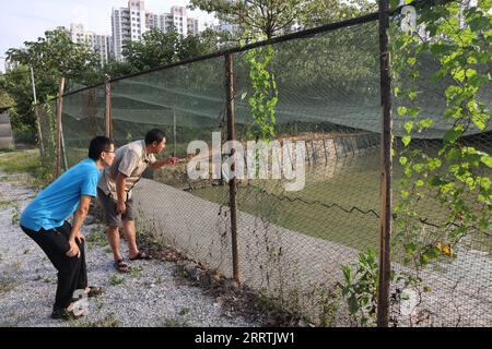 230728 -- NANCHANG, 28. Juli 2023 -- Mitarbeiter beobachten Zugvögel im Wildlife Rescue and Breeding Center der Provinz Jiangxi in Nanchang, ostchinesische Provinz Jiangxi, 16. Juli 2023. Mitarbeiter, die sich aus Rettungskräften, Ärzten, Streifenpolizisten und Polizeibeamten in der Schutzstation des Nationalreservats Poyang Lake und dem Wildlife Rescue and Breeding Center der Provinz Jiangxi zusammensetzen, retten verletzte Zugvögel und helfen ihnen, in die Wildnis zurückzukehren. CHINA-JIANGXI-POYANG SEE-ZUGVOGELSCHUTZ CN JINXLIWANG PUBLICATIONXNOTXINXCHN Stockfoto