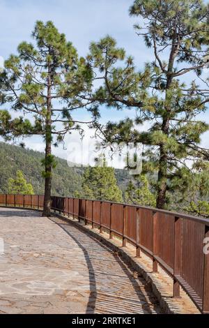 Ruhebereich im Wald in der Nähe der Straße in Richtung des vulkanischen Nationalparks Las Canadas del Teide, malerischer Aussichtspunkt über die Südküste Stockfoto