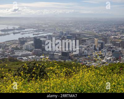 Kapstadt, Westkap, Südafrika - 3. September 2023: Foto von Kapstadt an einem Frühlingsmorgen. Stockfoto