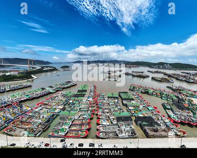 230801 -- PEKING, 1. August 2023 -- dieses Luftbild zeigt Fischerboote, die vor dem herannahenden Taifun Khanun in einem Hafen in Daishan County, Stadt Zhoushan, ostchinesische Provinz Zhejiang, Schutz suchen, 31. Juli 2023. Foto von /Xinhua Xinhua Schlagzeilen: China geht alles daran, Taifun-induzierte sintflutartige Regen, Überschwemmungen YaoxFeng PUBLICATIONxNOTxINxCHN zu bekämpfen Stockfoto