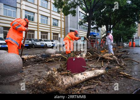 230801 -- PEKING, 1. Aug. 2023 -- Sanitärarbeiter räumen eine Straße im überfluteten Bezirk Mentougou von Peking, Hauptstadt von China, auf, 31. Juli 2023. Xinhua Schlagzeilen: China geht alles daran, gegen Taifun-induzierte sintflutartige Regenfälle, Überschwemmungen JuxHuanzong PUBLICATIONxNOTxINxCHN vorzugehen Stockfoto