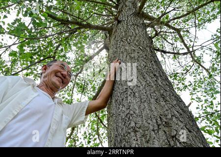 230803 -- TONGLIAO, 3. August 2023 -- Bai Shun berührt den ersten Baum, den er in Bulteger Gacha gepflanzt hat, Horqin Linker Flügel Hinteres Banner der Stadt Tongliao, Nordchina Innere Mongolei Autonome Region, 2. August 2023. Bulteger Gacha, ein kleines Dorf in Horqin im linken Flügel hinter dem Banner der Stadt Tongliao, befand sich im Zentrum des Horqin Sandy Landes und litt früher unter Wüstenbildung. Seit 2002 hat Bai Shun, ein ortsansässiger mongolischer Bauer, seine Familie dazu gebracht, sich in diesem Dorf zu verwurzeln und sich der Kontrolle der Wüstenbildung zu widmen. Die Überlebensrate der gepflanzten Bäume war zu Beginn aufgrund fehlender Bäume niedrig Stockfoto