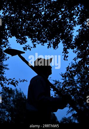 230803 -- TONGLIAO, 3. Aug. 2023 -- Bai Shun patrouilliert nach dem Abendessen in Bulteger Gacha, Horqin Linker Flügel Hinteres Banner der Stadt Tongliao, Nordchina Innere Mongolei Autonome Region, 2. Aug. 2023. Bulteger Gacha, ein kleines Dorf in Horqin im linken Flügel hinter dem Banner der Stadt Tongliao, befand sich im Zentrum des Horqin Sandy Landes und litt früher unter Wüstenbildung. Seit 2002 hat Bai Shun, ein ortsansässiger mongolischer Bauer, seine Familie dazu gebracht, sich in diesem Dorf zu verwurzeln und sich der Kontrolle der Wüstenbildung zu widmen. Die Überlebensrate der gepflanzten Bäume war zu Beginn aufgrund fehlender Erfahrung niedrig Stockfoto