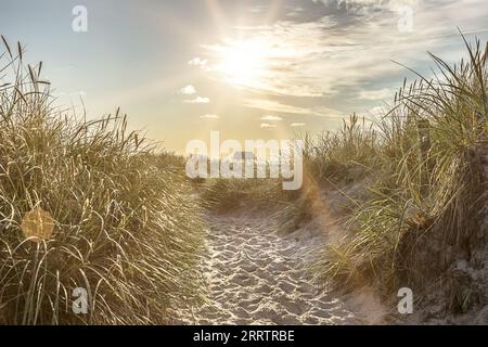Sanddünen mit Gras am Strand von Sankt Peter-Ording Stockfoto