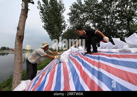 230810 -- TIANJIN, 10. August 2023 -- Hochwasserschutzpersonal verstärkt einen Deich im Bezirk Jinghai, nordchinesische Gemeinde Tianjin, 10. August 2023. Die lokalen Behörden haben die Hochwasserschutz- und Katastrophenschutzmaßnahmen im Taitou-Abschnitt des Flusses Daqinghe im Bezirk Jinghai der nordchinesischen Gemeinde Tianjin fortgesetzt und den Bezirk auf jeden Notfall vorbereitet. CHINA-TIANJIN-DAQINGHE-FLUTDEICHE CN ZHAOXZISHUO PUBLICATIONXNOTXINXCHN Stockfoto