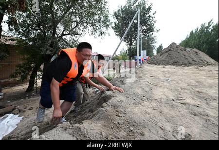 230810 -- TIANJIN, 10. August 2023 -- Hochwasserschutzpersonal patrouilliert auf einem Deich im Bezirk Jinghai, nordchinesische Gemeinde Tianjin, 10. August 2023. Die lokalen Behörden haben die Hochwasserschutz- und Katastrophenschutzmaßnahmen im Taitou-Abschnitt des Flusses Daqinghe im Bezirk Jinghai der nordchinesischen Gemeinde Tianjin fortgesetzt und den Bezirk auf jeden Notfall vorbereitet. CHINA-TIANJIN-DAQINGHE-FLUTDEICHE CN ZHAOXZISHUO PUBLICATIONXNOTXINXCHN Stockfoto