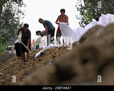 230810 -- TIANJIN, 10. August 2023 -- Hochwasserschutzpersonal verstärkt einen Deich im Bezirk Jinghai, nordchinesische Gemeinde Tianjin, 10. August 2023. Die lokalen Behörden haben die Hochwasserschutz- und Katastrophenschutzmaßnahmen im Taitou-Abschnitt des Flusses Daqinghe im Bezirk Jinghai der nordchinesischen Gemeinde Tianjin fortgesetzt und den Bezirk auf jeden Notfall vorbereitet. CHINA-TIANJIN-DAQINGHE-FLUTDEICHE CN ZHAOXZISHUO PUBLICATIONXNOTXINXCHN Stockfoto