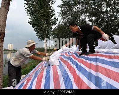 230810 -- TIANJIN, 10. August 2023 -- Hochwasserschutzpersonal verstärkt einen Deich im Bezirk Jinghai, nordchinesische Gemeinde Tianjin, 10. August 2023. Die lokalen Behörden haben die Hochwasserschutz- und Katastrophenschutzmaßnahmen im Taitou-Abschnitt des Flusses Daqinghe im Bezirk Jinghai der nordchinesischen Gemeinde Tianjin fortgesetzt und den Bezirk auf jeden Notfall vorbereitet. CHINA-TIANJIN-DAQINGHE-FLUTDEICHE CN ZHAOXZISHUO PUBLICATIONXNOTXINXCHN Stockfoto