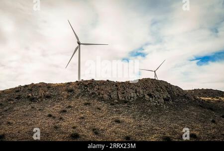 230818 -- DE AAR, 18. August 2023 -- dieses Foto, das am 25. Juli 2023 aufgenommen wurde, zeigt Windturbinen des de Aar Windkraftprojekts in de Aar, Südafrika. Südafrika, das diesen Monat den 15. BRICS-Gipfel abhalten wird, ist das südlichste Land Afrikas. Es ist das einzige Land der Welt mit drei Hauptstädten, mit Pretoria als Verwaltungshauptstadt, Kapstadt als Legislativhauptstadt und Bloemfontein als Justizhauptstadt. Weitere große Städte sind Johannesburg und Durban. Südafrika hat ein angenehmes Klima und berühmte Touristenziele wie Cape of Good Hope, Kruger National Park und The Tabl Stockfoto