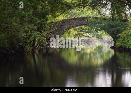 Loch Achray im September Stockfoto