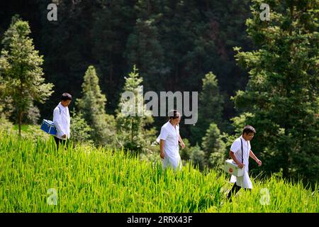 230819 -- QIANDONGNAN, 19. August 2023 -- Wu Changxi L, Wu Tao R und Xiang Changhui spazieren auf einem Feld am Rande des Dorfes Dingnong im Rongjiang County, Qiandongnan Miao und Dong Autonome Präfektur, Südwestchinesische Provinz Guizhou, 16. August 2023. Wu Changxi, sein Sohn Wu Tao und seine Schwiegertochter Xiang Changhui sind allesamt Landärzte, die in drei Dörfern arbeiten und sich um die Gesundheit von mehr als 820 Haushalten und 3.660 Menschen kümmern. CHINA-GUIZHOU-RURAL DOCTORS-FAMILY CN LIUXXU PUBLICATIONXNOTXINXCHN Stockfoto