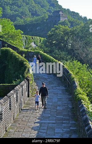 230824 -- DANDONG, 24. August 2023 -- Menschen besuchen den Hushan-Abschnitt der Chinesischen Mauer in der Stadt Dandong, Provinz Liaoning im Nordosten Chinas, 23. August 2023. CHINA-LIAONING-GREAT WALL-HUSHAN SECTION-LANDSCHAFT CN YANGXQING PUBLICATIONXNOTXINXCHN Stockfoto