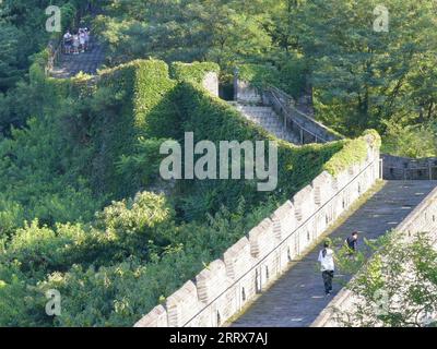 230824 -- DANDONG, 24. August 2023 -- Menschen besuchen den Hushan-Abschnitt der Chinesischen Mauer in der Stadt Dandong, Provinz Liaoning im Nordosten Chinas, 23. August 2023. CHINA-LIAONING-GREAT WALL-HUSHAN SECTION-LANDSCHAFT CN ZHANGXXINJING PUBLICATIONXNOTXINXCHN Stockfoto