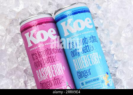 IRVINE, KALIFORNIEN - 7. SEPTEMBER 2023: Zwei Dosen Koe Kumbucha Sparkling Beverage, Raspberry Dragonfruit und Bluberry Ginger Flavors, in Eis. Stockfoto
