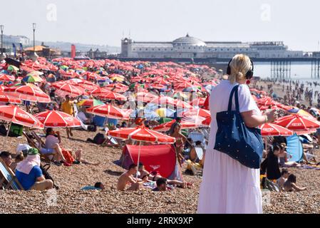 London, England, Großbritannien. September 2023. Am Strand von Brighton herrscht Menschenmassen, da Großbritannien die längste Hitzewelle im September erlebt, die es je gab. (Bild: © Vuk Valcic/ZUMA Press Wire) NUR REDAKTIONELLE VERWENDUNG! Nicht für kommerzielle ZWECKE! Quelle: ZUMA Press, Inc./Alamy Live News Stockfoto