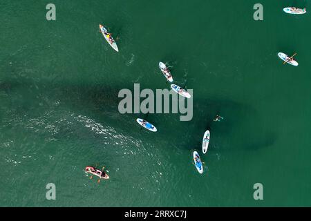 230904 -- SIDON, 4. September 2023 -- dieses Luftbild zeigt Menschen, die Kajak in Sidon, Südlibanon, 3. September 2023 genießen. Foto: Ali Hashisho/Xinhua SPLEBANON-SIDON-WATER SPORTS-KAYAK LiuxZongya PUBLICATIONxNOTxINxCHN Stockfoto