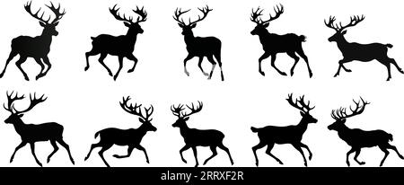 Sammlung von Hirschsilhouetten - Hirschfamilie. Hirsche in verschiedenen Stellungen. Männlicher Hirsch, Vektorillustration Stock Vektor