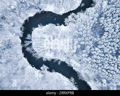 Luftaufnahme des Flusses und des schneebedeckten Waldes im Winter. Die Bäume sind mit Schnee bedeckt. Stockfoto