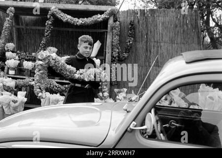 Ein Junge bietet an der Straße Tulpengirlanden zum Verkauf an, im Bild rechts unten spiegelt sich der Fotograf Erich Andres in der Autoscheibe, Lisse 1955. Ein Junge, der Tulpengirlanden zum Verkauf auf der Straße anbietet, auf dem Bild rechts unten spiegelt sich der Fotograf Erich Andres im Autofenster, Lisse 1955. Stockfoto