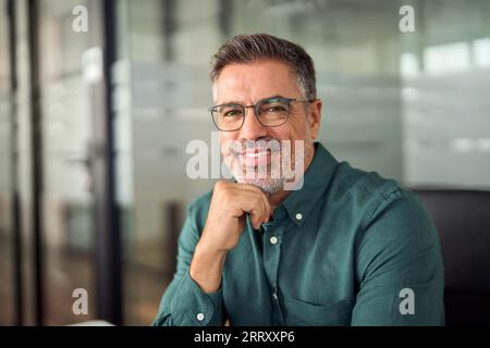 Lächelnder älterer Geschäftsmann, der Brille trägt, sitzt im Büro, Portrait. Stockfoto