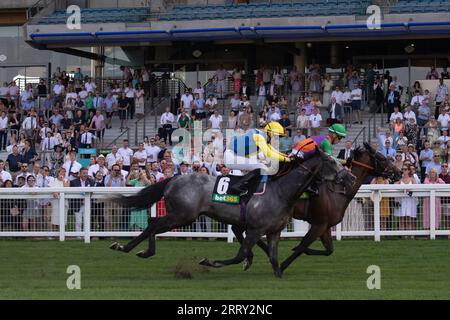 Ascot, Berkshire, Vereinigtes Königreich. September 2023. Das Pferd Quinault, das von Jockey Luke Catton geritten wird, gewinnt die Bet365 Handicap Stakes auf der Ascot Racecourse am September Racing Saturday. Dies war der erste Gewinner für Luke Catton. Besitzer TJE Racing. Trainer Stuart Williams, Newmarket. Quelle: Maureen McLean/Alamy Live News Stockfoto