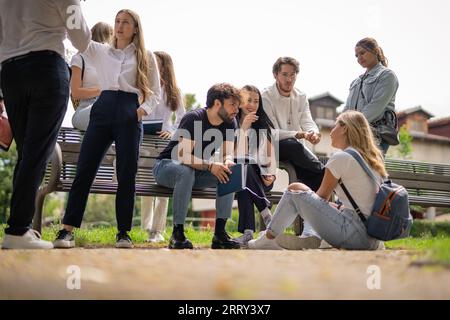 Schüler sitzen im Park und diskutieren über Schulfächer. Lernen im Gruppenkonzept Stockfoto