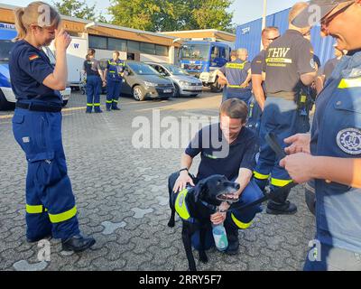 Köln, Deutschland. September 2023. Die Einsatzkräfte der Krisenreaktionseinheit Erholung im Ausland SEEBA des THW kümmern sich um den Hund „Carla“. Nach dem schweren Erdbeben mit mehr als 1000 Toten bereitet sich das THW auf einen möglichen Einsatz in der Region vor. Quelle: Sascha Thelen/dpa/Alamy Live News Stockfoto