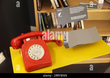 Innenräume des faszinierenden Museum of the Home in Shoreditch, East London, Großbritannien Stockfoto