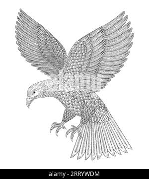 Weißkopfseeadler fliegen angreifend, Vintage-Gravurzeichnung Vektorillustration Stock Vektor