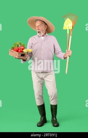 Reifer männlicher Farmer mit Korb voller reifer Gemüsesorten, Rechen und Schaufel auf grünem Hintergrund Stockfoto